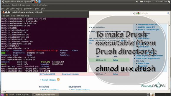 Make Drush Executable